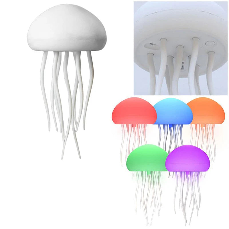S1f5b9b81844e4a8ea9bfbbd6fe02d7afd